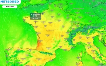 Ice Agents Detain Annie Ramos: 3 Details Raising Questions About a Military Family Arrest