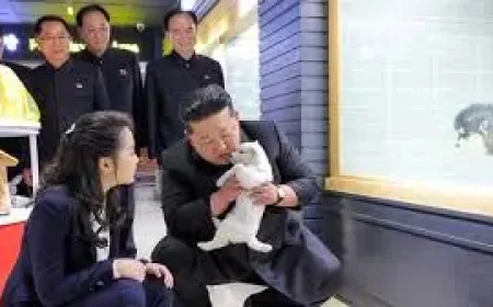 Sky News World: Seoul Says Kim Ju Ae May Be 1 of 1 Successors in North Korea