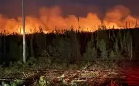 Ontario Fire as the season turns quickly