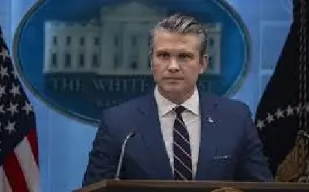 Yassamin Ansari and the Human Cost of an Impeachment Push Over Iran