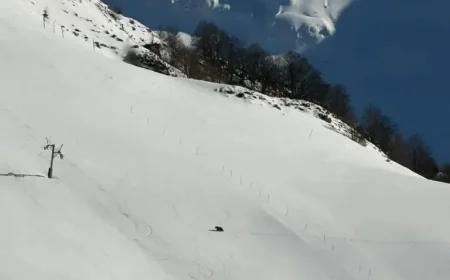 Ours on a Closed Ski Slope in the Pyrenees: 1 Unexpected Spring Encounter