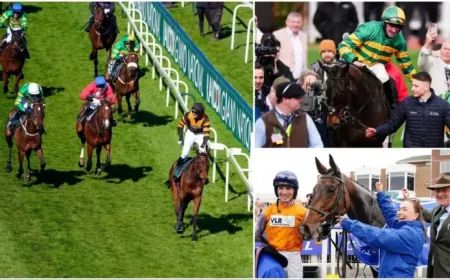 The Grand National 2026: I Am Maximus and Nick Rockett lead 49 confirmations at Aintree