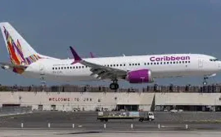 Baby Born Caribbean Airlines Flight: A midair arrival that changed one family’s journey