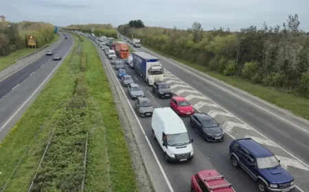 Taoiseach Urged to Act as Fuel Costs Hit Bus Operators and Hauliers