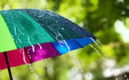 Weather Forecast Today: Rainy days ahead as the next few days turn wet and windy