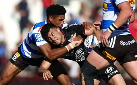 Springboks Face a Rare Upside After Cup Exits and a 14-Match Grind