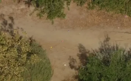 Crâne Found During Easter Egg Hunt Leaves Long Beach Families Shaken