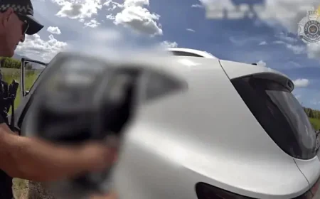 Bruce Highway Police Vehicle Theft Exposes a Bigger Townsville Crime Chain