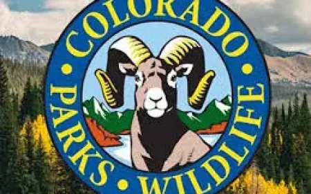 Colorado Parks And Wildlife as the elk-license debate gathers pace