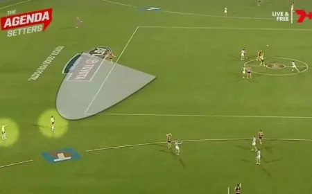 Taylor Walker and the late umpiring error that left Adelaide asking the wrong question