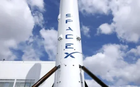 Potential Cure for Knee Arthritis May Be Nearer Than Expected