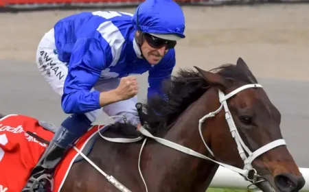Winx Foal Quinceanera Retired: The $10 Million Filly That Never Reached the Track
