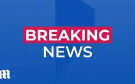 Liam Bartlett and Chris Bowen clash as press conference turns tense