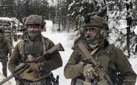 Royal Canadian Mounted Police watchdog report delayed as chairless oversight body stalls review