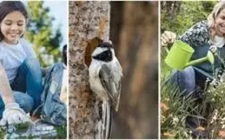 Richmond Hill and the 3-way airport fight that could decide Bryan County’s future