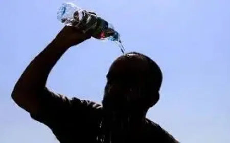 Heat Wave Warning: 6 Extreme Events Already Breached Human Limits, Study Finds