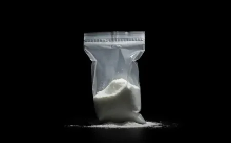 Why the Jalisco New Generation Cartel guilty plea matters more than one defendant