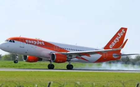 Avion Forced to Abort Landing at Orly Exposes a Hidden Risk Near the Runway