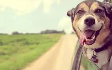 Hong Kong Port Giant Ups the Arbitration Ante with a Further Filing