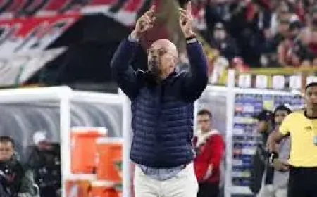 Junior Vs Palmeiras: Palmeiras named for away Libertadores opener