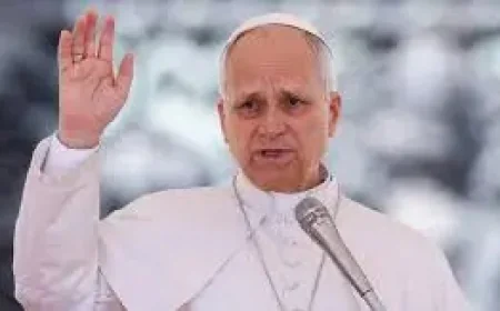 Pentagon Pope Rift Deepens After Vatican Diplomat Summons