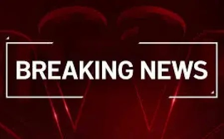 Doral Community Mourns Mateo Davila Alessia Tucci After Fiery Crash