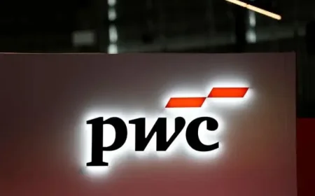 Pwc Probe Opens Over Digital 9 Infrastructure Audit