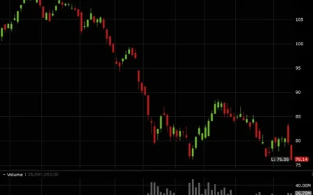 Stock Market Resumes Selling Software Stocks