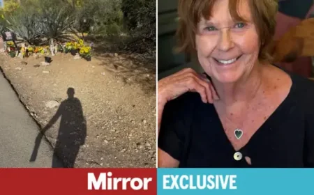 Taken at the Point of Scrutiny: Two Missing-Person Cases and the Pressure Around Them