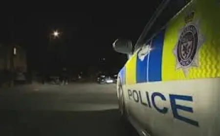 Child Dies in Redcar Dog Attack: 3 Things Police Have Confirmed