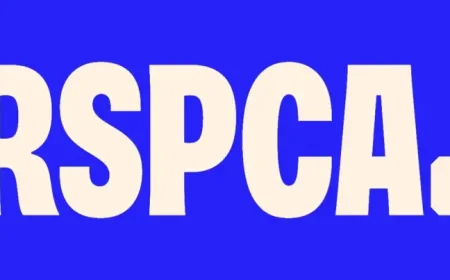 250 Dogs Rescued: The shocking living-room image that many mistook for AI