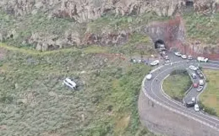 La Gomera tragedy: 1 dead, 14 injured as bus plunges down a slope
