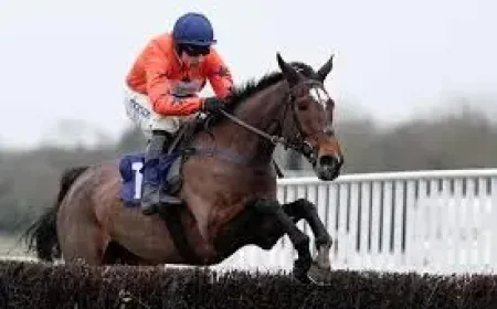 Panic Attack Horse and the 75-Year Grand National Question: Can One Mare Rewrite History?