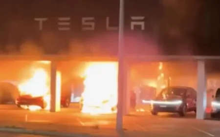 Fire Sydney: Parramatta showroom blaze leaves a city facing the human cost of protest and arson