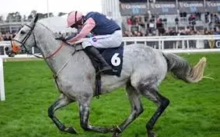 Grey Horses In Grand National 2026: Why the colour still draws bets