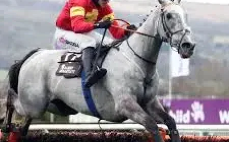 Marble Sands Horse and the 1-in-10 grey factor behind Grand National betting