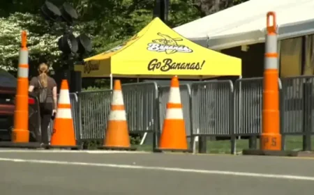 Savannah Bananas Chapel Hill: 50,000-Fan Weekend Could Redefine Kenan Stadium