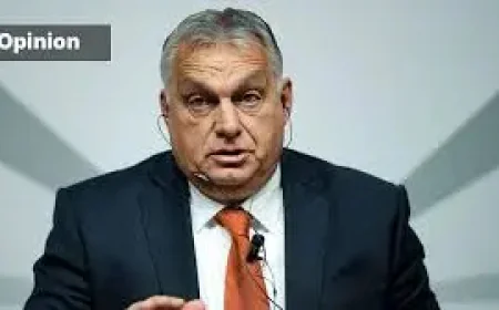 Hungary Election: Zebras, wealth and power, and a country deciding what comes next