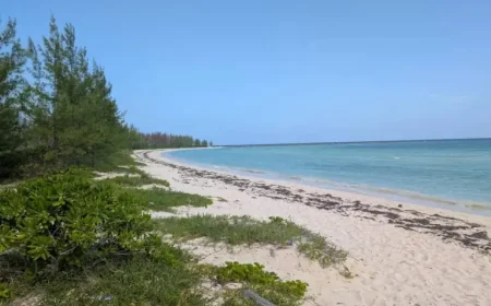 Msc Cruises and a Freeport revival: the beach club plan drawing hope and caution