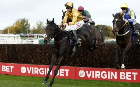 Montys Star in Aintree spotlight as Grand National tips firm up