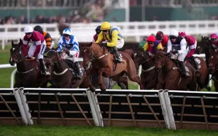 Firefox Horse: Grand National odds and stamina questions at Aintree