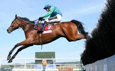 Champ Kiely Horse emerges as Patrick Mullins flags value option for Randox Grand National 2026