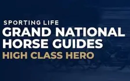 High Class Hero Horse and 3 Warning Signs for the 2026 Grand National