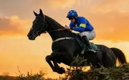 Jordans Horse: 5 reasons Banbridge is drawing local interest before the Grand National