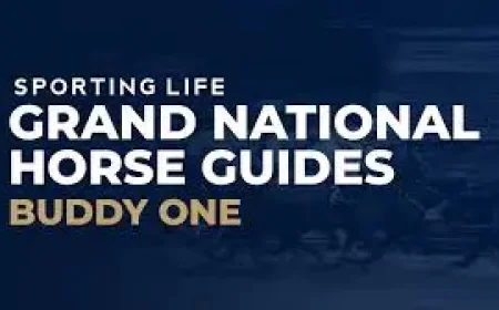 Amirite: 80/1 Late Reserve Adds a Twist to Grand National 2026