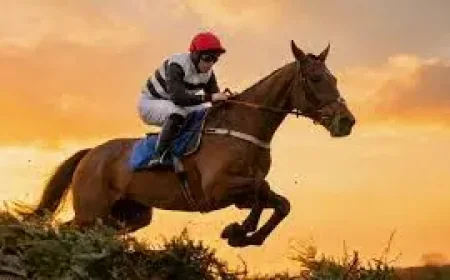 Ginger Mccain and Top Of The Bill: can a new Grand National dream take shape?