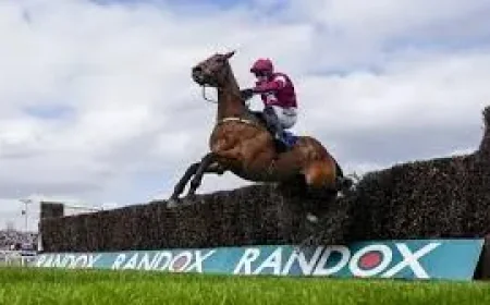 Paul Townend and Gold Dancer: the fatal Aintree win that left no one to blame, and everything to answer for