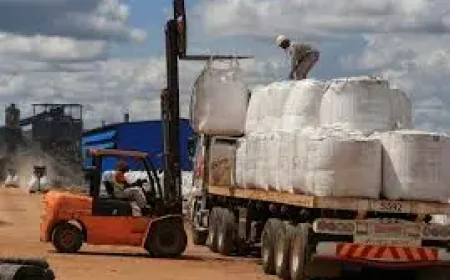 Zimbabwe’s US$400 Million Mining Leak: 3 Signals Behind the New Export Clampdown