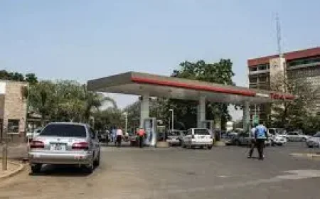 Zambia: 3 Cabinet Moves on 2026 Budget as Fuel Costs Jump