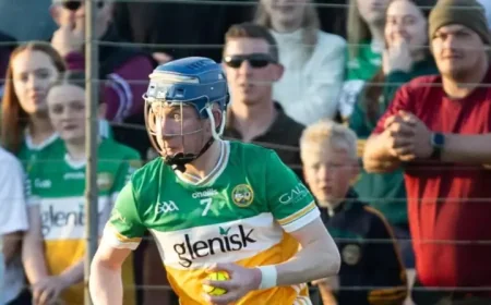 Laois Gaa Twitter and 3 key Offaly lessons from a derby win in Portlaoise